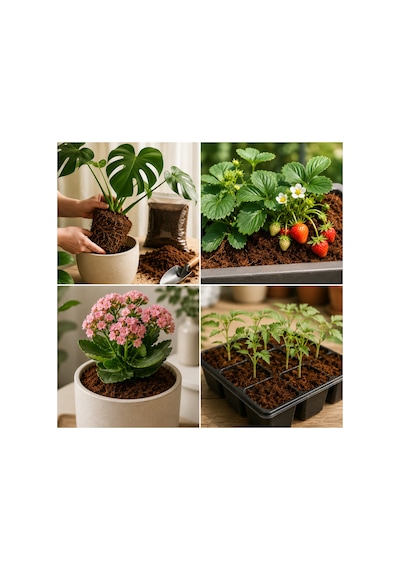 Cocopeat Hindistan Cevizi Torfu 5 Litre Saksı, Çiçek Ve Fide İçin Bitki Yetiştirme Ortamı 1000