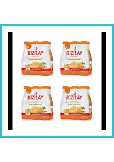 Bezos Kızılay Mandalina 200 Ml 24 Adet Koli Dfnbez