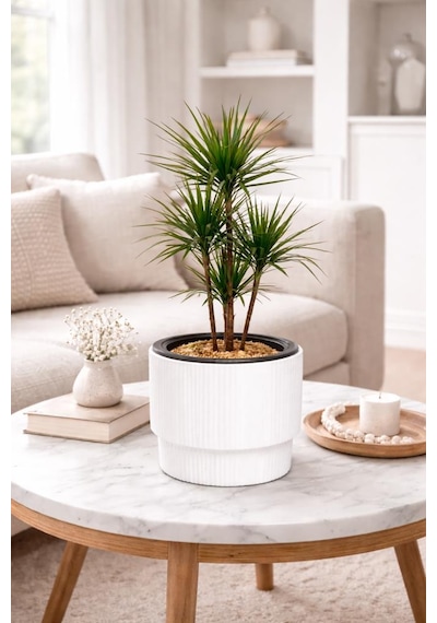 So-vgs2 3 Adet Vega Modern Plastik Saksı Takımı No:2 İç Kovalı 20 Lt Beyaz