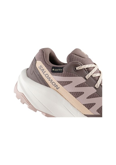 Salomon Outscape Gtx W Unisex Outdoor Ayakkabısı L49145200 Pembe