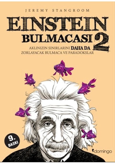 Einstein Bulmacası 2 Aklınızın Sınırlarını Zorlayacak Bulmaca Ve Paradokslar