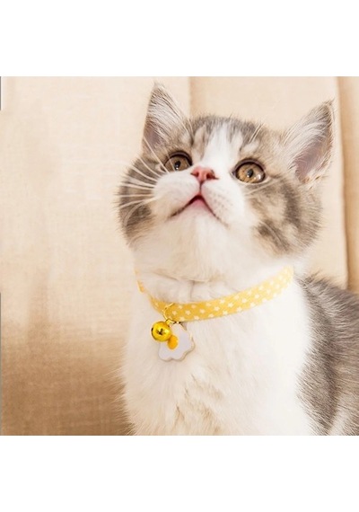Zilli Kedi Tasması