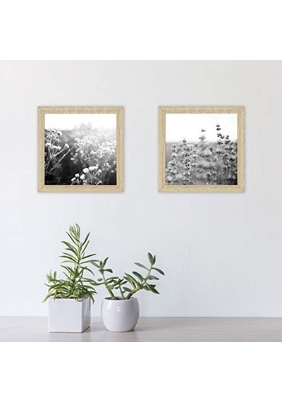 Galeri Temel Çerçeve, Doğal Ahşap Tahıl, 20,32 X 20,32 Cm, 2 Paket