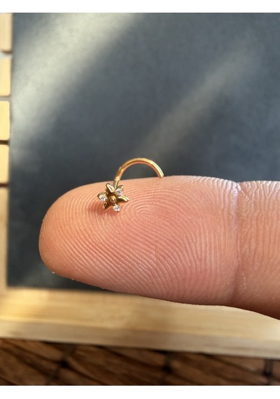 Yüksek Kalite G23 Titanium Üç Taş Zirkon 6x0.8mm Altın Titanyum Hızma Piercing