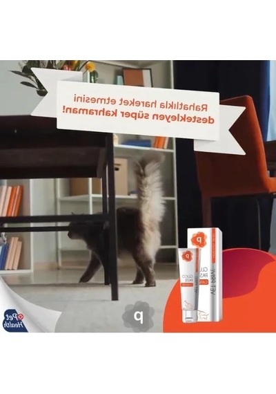 Eklem Desteği Pasta, Kedi Ve Köpekler İçin Özel Formül
