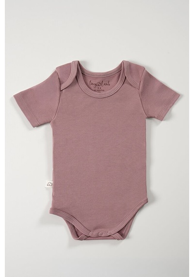 Tinylamb Softly Colors Kısa Kol Bebek Bodysuit Takımı - 4 Parça Çok Renkli