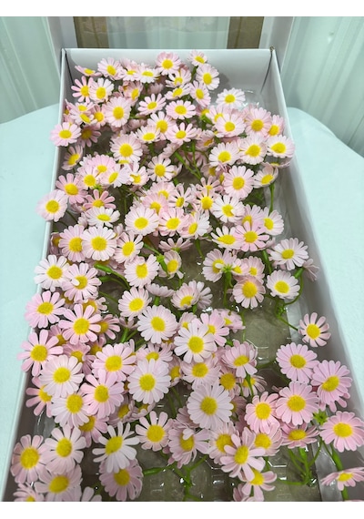 Pembe Papatya Çiçek Dekorasyonu