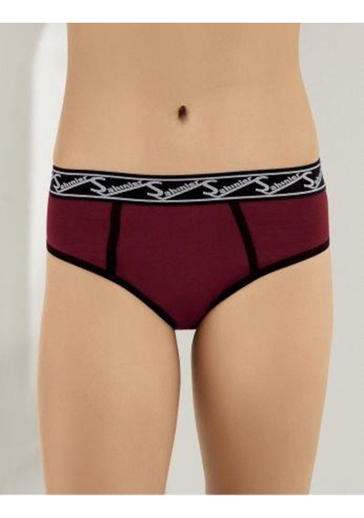6 Lı Paket Şahinler Bayan Likralı Bikini Külot B3084