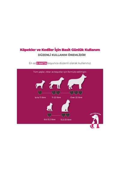 Perlina Cilt Ve Tüy Sağlığı Tablet