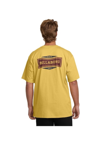 Billabong Bıllabong Walled Regular Ss 237 Çok Renkli
