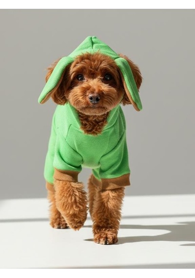 Matcha Bunny Kulaklı Köpek Tulumu Kıyafeti