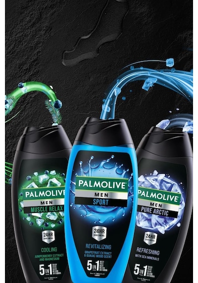 Palmolive Pure Arctic Erkek Duş Jeli 2 x 500 ML + Seyahat Kiti