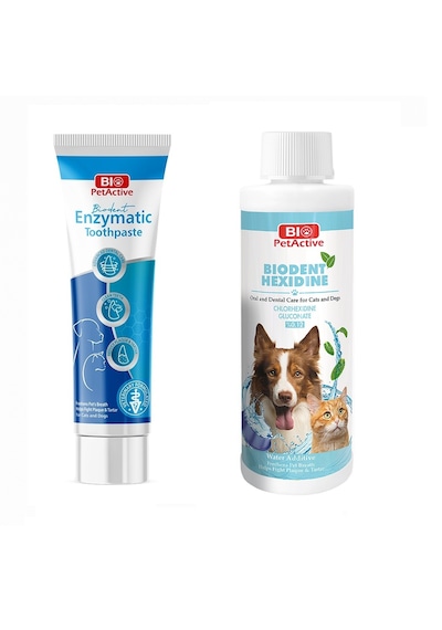 Bio Petactive Biodent Enzymatic Köpek Diş Macunu 100 Ml + Biodent Hexidine 250 Ml 2 Li Set