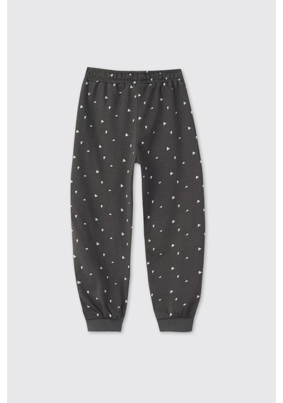 Panço Erkek Çocuk Dinazor Baskılı Pijama Takımı Antrasit