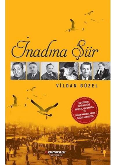 İnadına Şiir - Vildan Güzel - Okumuşlar Yayıncılık