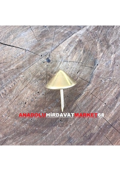 Sivri Kabara Raptiye Koltuk Çivisi Antik Sarı Çapı 16 MM 50Adet