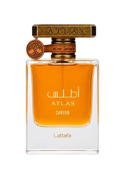 Lattafa Atlas Canyon Edp 55 Ml Unisex Diğer