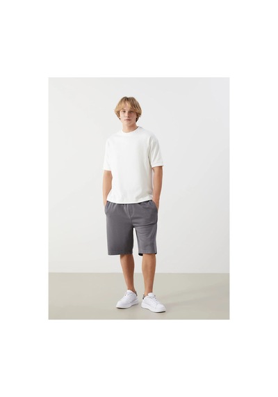 Lc Waikiki Xsıde Rahat Kalıp Erkek Bermuda Şort Dark Grey