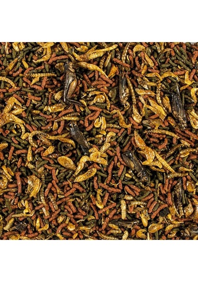 Tropical Soft Line Carnivore 50 Gram Balık Yemi