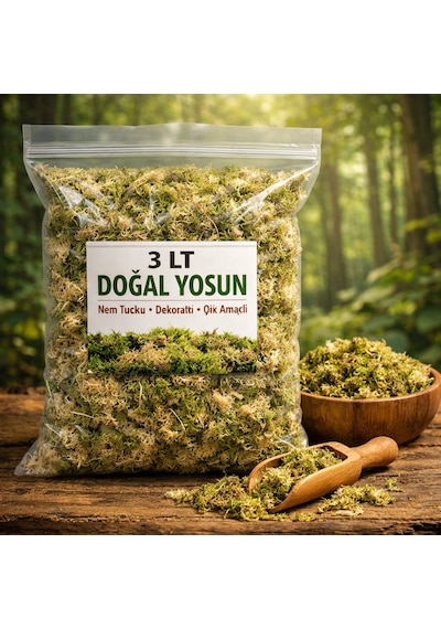 3 Litre Doğal Yosun Torfu, Lif Parça Canlı Spagnum Floor Moss Yosun, Teraryum, Orkide, Toprak Katkısı,dekor