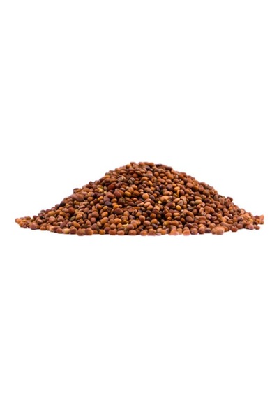 Atasagun Şifa Turp Tohumu 1 KG