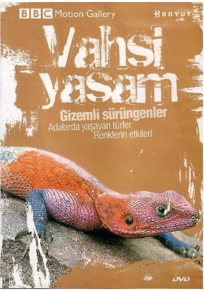 Bbc Motion Gallery - Vahşi Yaşam Gizemli Sürüngenler Adalarda Yaşayan Türler Renklerin Etkileri - Dvd