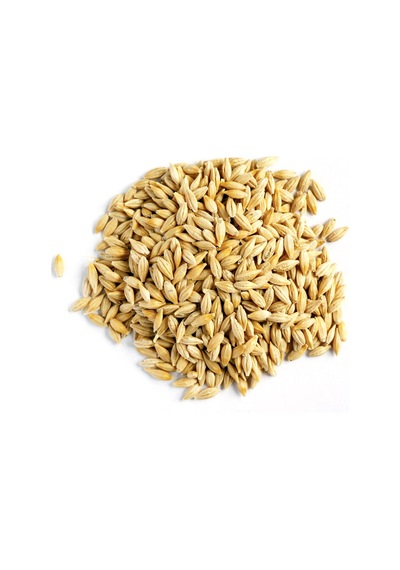 Doğal Arpa 5 Kg Tavuk Güvercin Kuş Kanatlı Yemi Yemlik Tane  Arpa