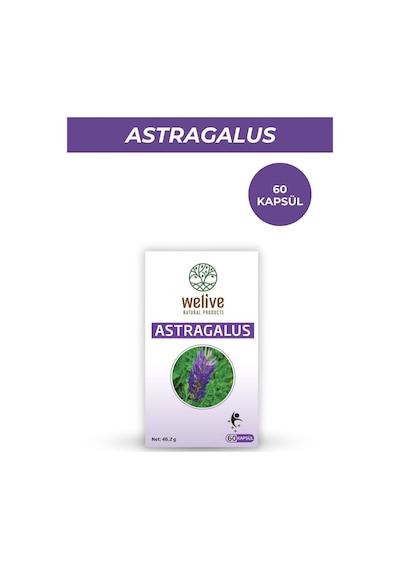 Astragalus Takviye Edici Gıda / 60 Cap
