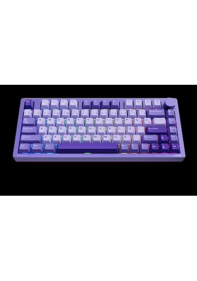 Philips Evnia Spk8618uprh Hotswap Makrolu 3 Modlu Metal Gaming Oyuncu Klavyesi Mor