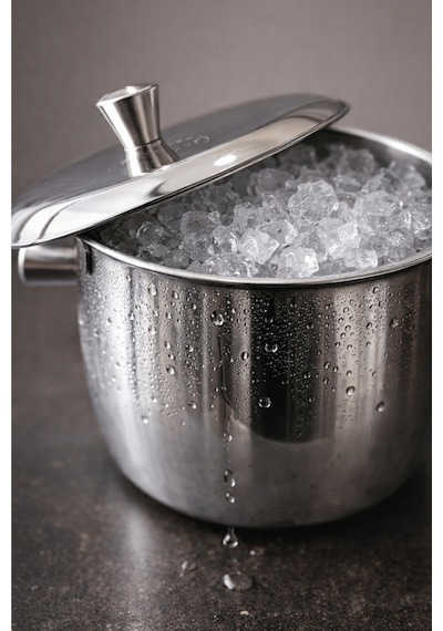 Kapaklı Termoslu Buz Kovası - Kulplu Paslanmaz Çelik Ice Bucket Gri