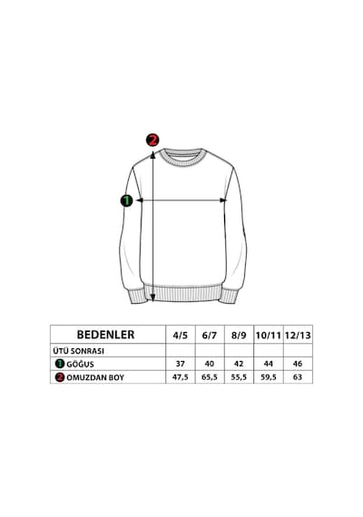 Toontoy Kids Toontoy Erkek Çocuk Baskılı Sweatshirt Gri Melanj