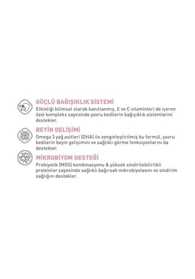 Royal Canin Kitten Yavru Kedi Maması 2 Kg Ve 6 Adet Yaş Mama + Mama Kabı Hediyeli