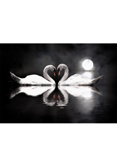 Ay Manzarasında Romantik Kuğular Duvar Kağıdı