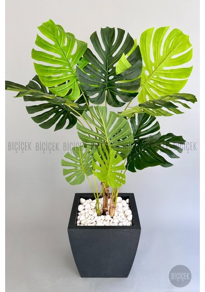 Yapay Monstera Ağacı Deve Tabani 180 Cm Antresi T Kemer Saksıda Antresit