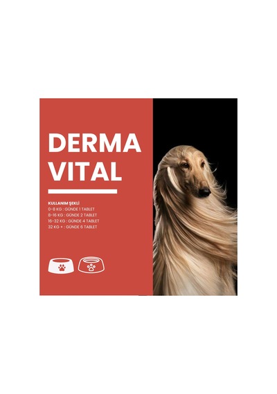 Dermavital 60 Tablet Evcil Hayvan Deri Ve Tüy Desteği