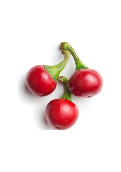 Nadir Ithal Acı Cherry Kiraz Biberi Tohumu 10 Adet Tohum Biber Tohumu