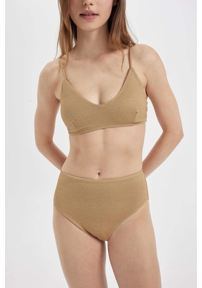 DeFacto Regular Fit Parlak Kumaş Yüksek Bel Bikini Altı-Fall in Love C3180AX24SMYL275