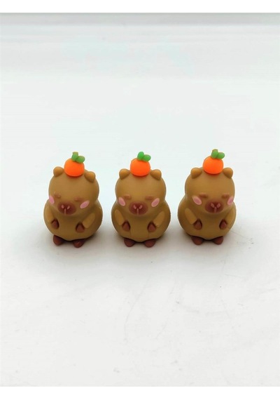 Abc Capy Bara Silgi 3 Lü