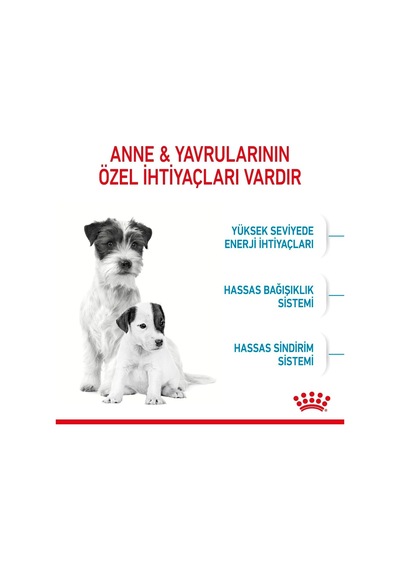 Mini Starter Mother&babydog Köpek Maması, 3 Kg