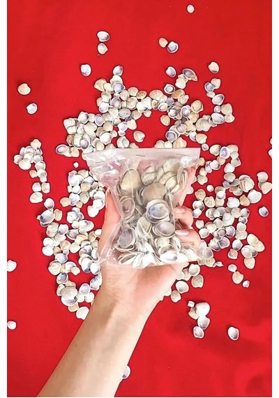 Tr Küçük Deniz Kabuğu 100 Gr - Süs - Dekoratif - Hobi - Akvaryum Süsleme