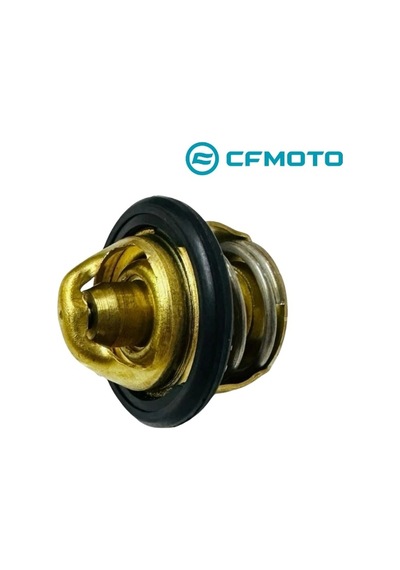 Cf Moto Termostat  - Cf Moto Nk 250