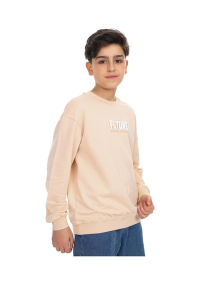 Toontoy Kids Toontoy Erkek Çocuk Baskılı Sweatshirt Bej