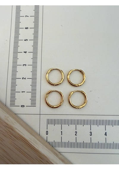 316 L Cerrahi Çelik 1,6mm 10mm Çelik Halka Küpe Gold 4 Adet Altın
