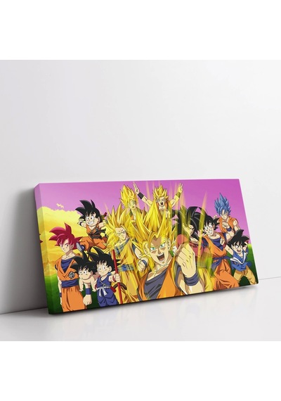 Dragon Ball Toplu Kanvas Tablo
