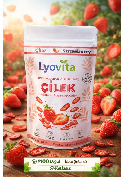 Çilek Dondurularak Kurutulmuş Freeze Dried 15 G