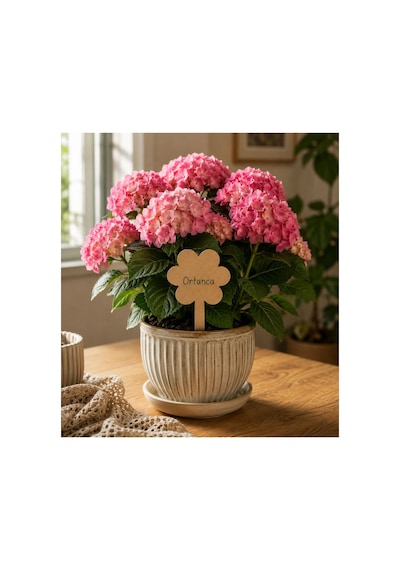 Arliadesign Kişiye Özel Ahşap Bitki Etiketi 5'li Set / Kelebek, Bulut, Kalp, Papatya, Ve Dikdörtgen Şekilli 3 Mm Ham Mdf Saksı Mini Bahçe Etiketi