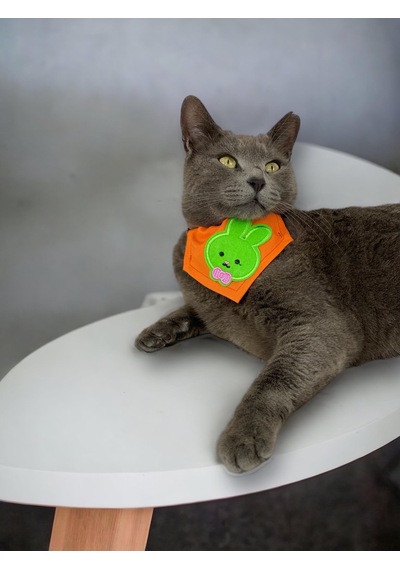 Kemique Green Bunny Kedi Bandana Fular Kedi Kıyafeti