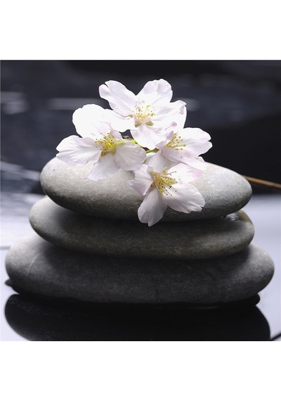 Spa Taşları Ve Kiraz Çiçeği Doğal Taş Bardak Altlığı 4'lü Set - Natural Stone Coasters - Taş Çok Renkli