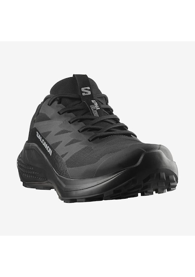 Salomon Alphaglide Gore-tex Erkek Patika Koşu Ayakkabısı L47802100 Siyah