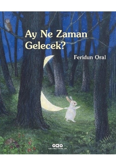 Ay Ne Zaman Gelecek? - Feridun Oral - Yapı Kredi Yayınları